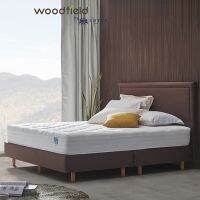 Woodfield ที่นอนยางพาราไฮบริด รุ่น W-Nature III (สเปคนุ่มแน่น) หนา 10 นิ้ว ฟรี หมอนหนุนสุขภาพ ส่งฟรี