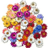 【YF】▣✁☸  200/100Pcs Buttons Flower-Shaped Scrapbook Sewing Accessories Clothing Decoration 2 Holes