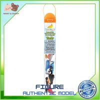 Safari Ltd. : SFR678304 โมเดลนก Backyard Birds Model Action Figure Cartoon แอกชั่น ฟิกเกอร์ ของเล่น ของสะสม ของเล่นเด็ก ตุ๊กตา Mamy and Buddy