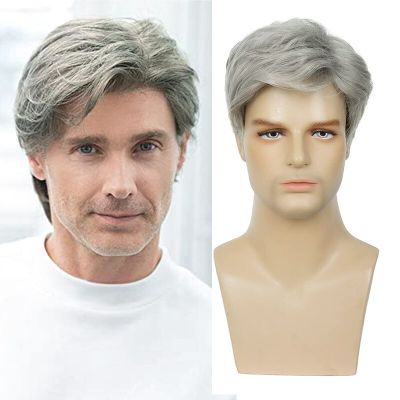Sylhair Men Wigs Short Silver Gray Wig Male Guy Short Layered Cosplay Costume Party Synthetic Heat Resistant Natural Hair