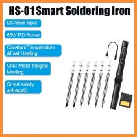 FNIRSI HS-01 Smart Electric Soldering Iron+6Xsoldering Heads PD 65W Adjustable Constant Temperature Fast Heat Soldering Iron