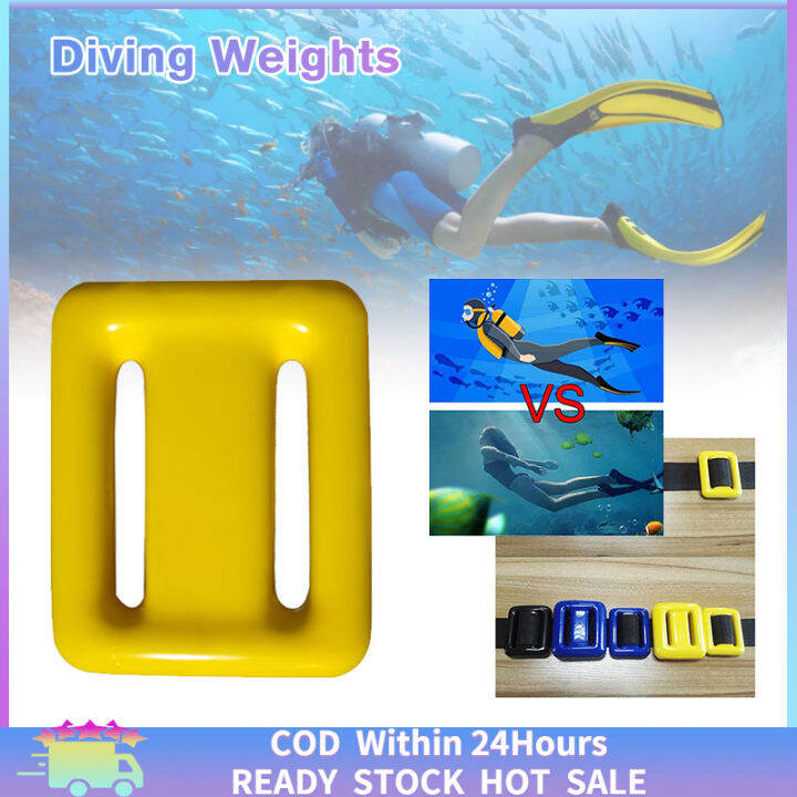 [Fast Delivery] 1kg Diving Weights Freediving Scuba Diving Weights
