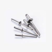 【CW】 10pcs 4mm End Flat Round Core Pulling Rivets Rivet 304 6mm 25mm Length