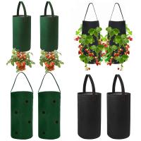 Laputa 2Pcs Garden มะเขือเทศสตรอเบอร์รี่แขวนปลูกต้นไม้เติบโตกระเป๋ากระถางต้นไม้คอนเทนเนอร์