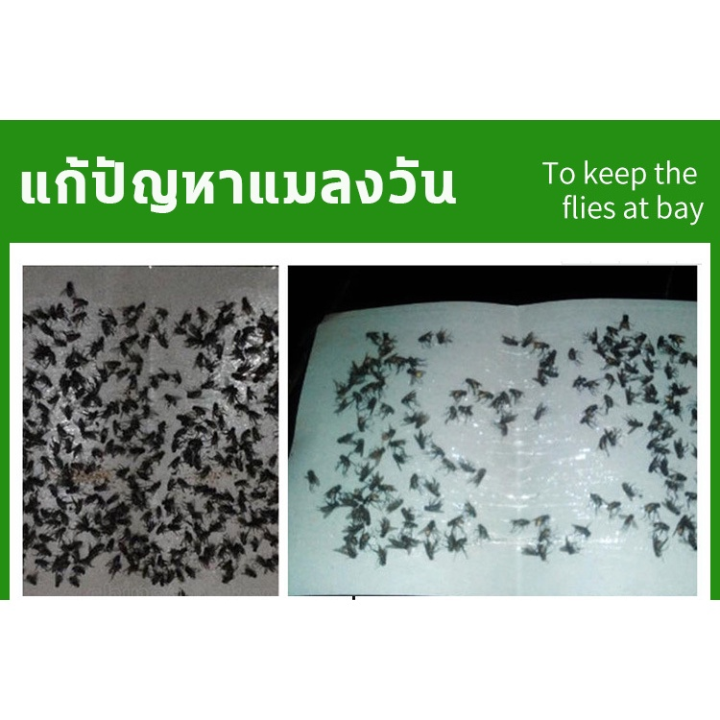 ราคาถูกสุดกาวดักแมลงวัน-แผ่นดักแมลงวัน-มัดละ-100แผ่น-แผ่นกาวดักแมลงวัน-ใช้งานง่าย-กาวแน่น-กาวเต็มแผ่น-กระดาษแผ่นกาวดักแมลง-กับดักแมลงวัน-กาวติดแมลงวัน-กาวดักแมลงวันทอง-กาวเยอะ-มีสารล่อแมลง-ที่ดักแมลงว
