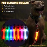 Dog Anti Lost Glowing Collar Outdoor Night Safety Waterproof Warning LED Flashing Light Necklace Strip for Pet Leash Harness