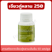 เจียวกู่หลาน jiaogulan-250 ภูมิคุ้มกัน (1 กระปุก 60 แคปซูล) สารสกัดจากเจียวกู่หลานเข้มข้น ระดับน้ำตาล ไขมันเกาะตับ