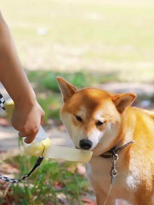 Water Bottle for Dogs and Cats Portable Convenient Safe Tasess Drinking