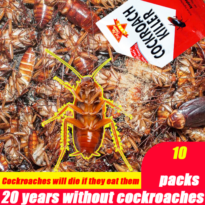 Cockroaches die when they eat them cockroach bait, no cockroaches for ...