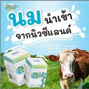 milky-cow-dha-มิลกี้-คาว-นมปรุงแต่งอัดเม็ด-วิตามินสำหรับเด็ก-แคลเซียมสูง-บำรุงสมอง-เสริมสร้างความจำ-บรรจุ-60-เม็ด