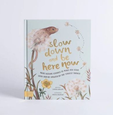 [หนังสือ เด็ก] Slow Down And Be Here Now, Grow, Secret Of Nature, Little book of Joy, Slow Down english book by Magic Cat ของแท้ #พร้อมส่ง ปกแข็ง #magiccat