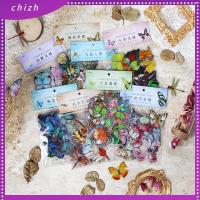 CHIZH 320pcs สัตว์เลี้ยงสำหรับสัตว์เลี้ยง สติกเกอร์ติดผนัง หลากสี สติกเกอร์รูปผีเสื้อ อุปกรณ์ทำสมุดภาพ สติกเกอร์แมลงปอ ดีไอวาย