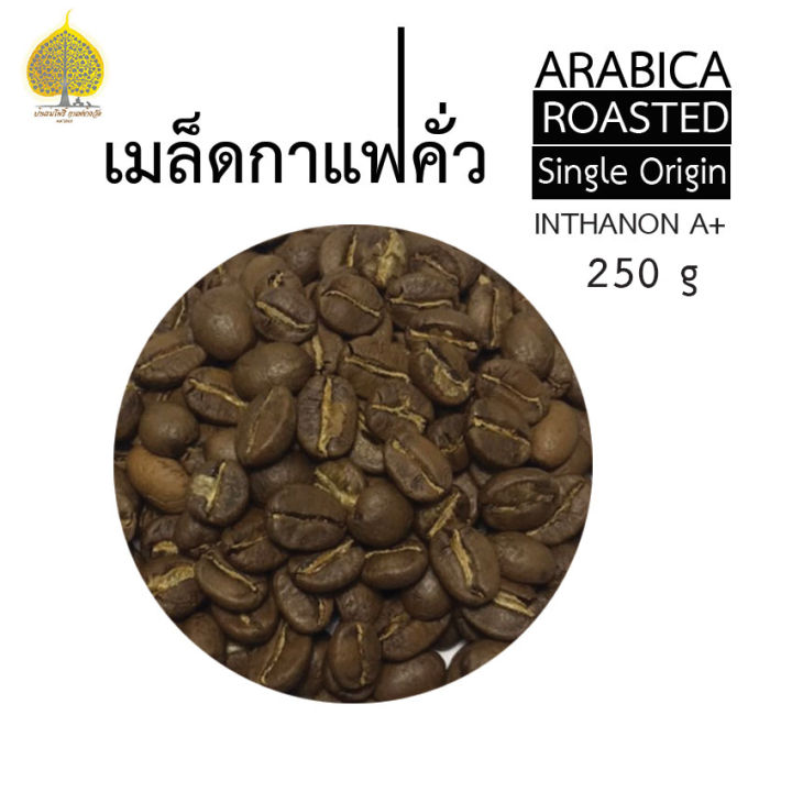 เมล็ดกาแฟคั่วกลาง250g-ซื้อ1-ฟรี-1-เมล็ดกาแฟคั่ว-เมล็ดกาแฟอาราบิก้า-กาแฟออแกนิค-กาแฟคั่วเข้ม-กาแฟคั่วกลาง-กาแฟ