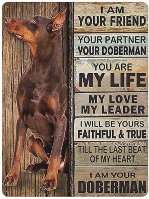 Metal Tin Sign Doberman Classic Retro Poster Wall Decoration Country Kitchen Home Garage Decoration