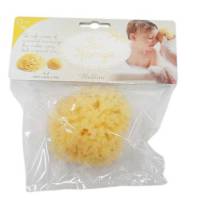 BELLINI SPONGE ฟองน้ำธรรมชาติ Honeycomb