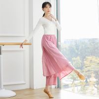 ┅ Chinese Dance Dance Clothing Female Adult Long-Sleeved V-Neck Tie Latin Dance Clothing Ballet Modern Dance Top Teacher Art TestTH