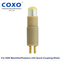 COXO YUSENDENT ทันตกรรมเปลี่ยนหลอดไฟ LED Fit สำหรับ NSK Machlite Phaus LED Coupler Coupling 6pin 6หลุม