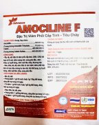 Apa Amocilin Ftieu chảy phan xanh, phan trắng