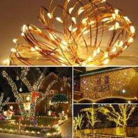 ไฟ LED Fairy String ในร่มและกลางแจ้ง5M 10M LEDs ไฟลวดทองแดงแบตเตอรี่ขับเคลื่อนคริสต์มาส