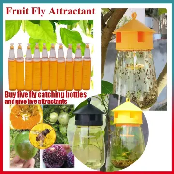 1pc Fruit Fly Trap, Fly Catcher Cage, Hanging Fly Catcher Bag