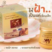 Vanekaa Camel Nutrient Day and Night Cream วานีก้า ครีมนมอูฐ