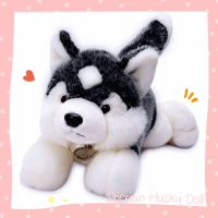 ตุ๊กตาน่ารัก ตุ๊กตาการ์ตูน doll toy ‍ ส่งจากไทย  ตุ๊กตาไซบีเรียน ฮัสกี้ Siberian Husky Doll ตุ๊กตาหมา ตุ๊กตาผ้าขน สุนัข ตุ๊กตาน่ารัก สะสม ขนเทียม เหมือนจริง ตุ๊กตาหมี ตุ๊กตากระต่าย ตุ๊กตาหมา ตุ๊กตาแมว ikea ตุ๊กตาบาร์บี้ ตุ๊กตาตัวใหญ่