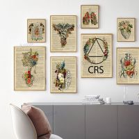 Vintage Anatomy Art Canvas Prints-หัวใจมนุษย์,สมอง,ปอด,กระดูกสันหลัง,Rib-Ideal Wall Decor สำหรับสำนักงานแพทย์,ใหม่