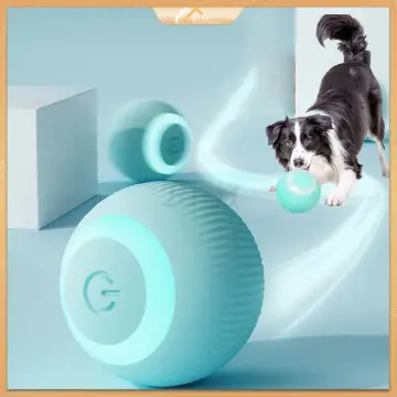  Wloom Power Ball 2.0, Wloom Power Ball 2.0 Cat Toy, Aiveys  Smart Ball Cat, USB Charging Smart Pet Toy Ball, Interactive Pet Ball for  Cat, Automatic Moving Rolling Ball for