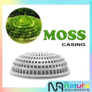 Natural Sheet Moss  Mosser Lee Decorative Moss Sheets