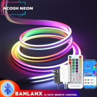 RGB Multicolor Neon Strip Lighting Smart Rope Lights with Music Sync 16.4ft/5m 12V Dimmable Smart LED Strip Lights For Outdoor LED Strip Lighting