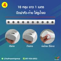 ราง 1 เมตร 10 หลุม ใส่รูน้ำลง by hydroponicgroup