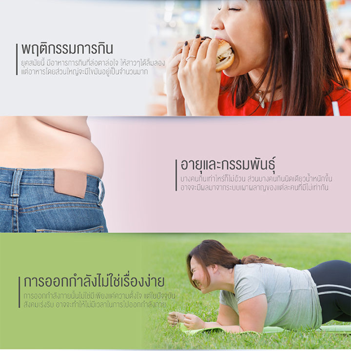 แพ็คคู่-clover-plus-chitosan-500-mg-ไคโตซาน-500-mg-ผลิตภัณฑ์เสริมอาหารไคโตซาน-มีส่วนช่วยควบคุมไขมันใหม่-ช่วยลดคอลเรสเตอรอล-30-แคปซูล-อาหารเสริม