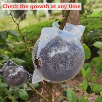 12cm 10pcs Fruit Plant Tree Rooting Ball Root Box Plastic Case Transparent Flower Grafting Rooter Growing High-pressure Breeding WB5TH