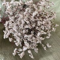 35 42CM/60g Crystal Grass Natural Fresh Dried Preserved Forget me FlowersReal Forever Lover Grass Branch For Home Decor