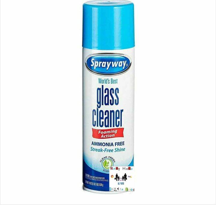 Sprayway Glass Cleaner 539g | Lazada PH