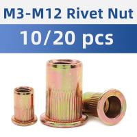 10-20pcs M3 M4 M5 M6 M8 M10 M12 Rivet Nut Flat Head Knurled Body Zinc Plated Carbon Steel Rivnut Insert Nutserts Threaded Nut