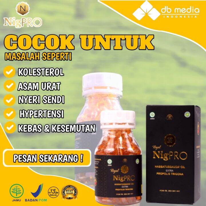 NigPRO Habbatussauda Oil Trigona | Herbal Kolesterol | Asam Urat ...