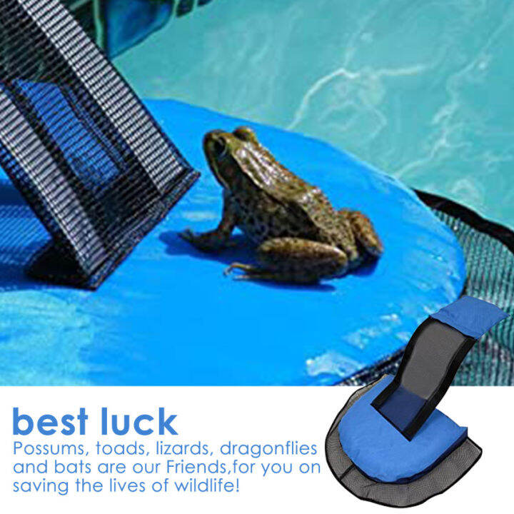 1 Pack Animal Saving Escape Ramp for Pool, Floating Ramp Rescues, Frog