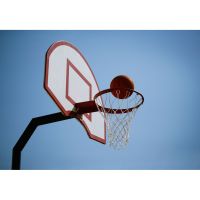 Wind♤♤ 32cm45cm Wall Mounted Hanging Basketball Goal Hoop Rim Net Metal Sporting Goods Netting