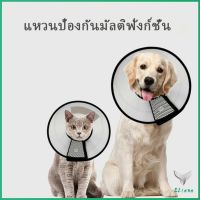 ปลอกคอ คอลล่า กันเลียบาดแผล น้องหมา น้องแมว Pet collar มีสินค้าพร้อมส่ง Eliana