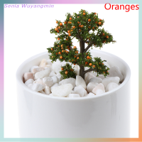 Senia 1PC Mini Garden เครื่องประดับขนาดเล็กเรซิ่นผลไม้ต้นไม้หัตถกรรม Fairy Garden Decor