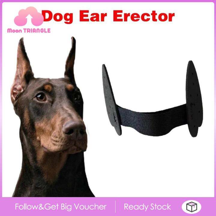 Moon TRIANGLE Dog Ear Stand up Support Ear Care Erect Ear Ear Sticker