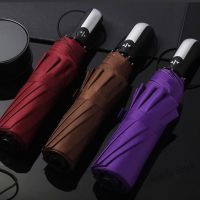 【hot sale】 ✙☄✖ B53 SKY PHIL✅10ribs Big Automatic umbrella windproof