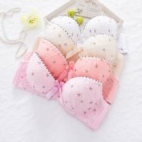 Teenage Girl Underwear Kids Children Training Young Girls First Training for Child Teen Underwear Puberty Girl Underwear