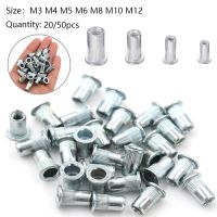 20Pcs 50pcs White zinc rivet nut Alloy Rivnut Flat Head Threaded Rivet Insert Nutsert Cap Rivet Nut M3 M4 M5 M6 M8 M10 M12