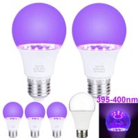 NANMEN0สร้างบรรยากาศ E26 E27โปสเตอร์เรืองแสงไฟ Led หลอดไฟ UV แบล็กไลท์แสงนีออนสีดำ