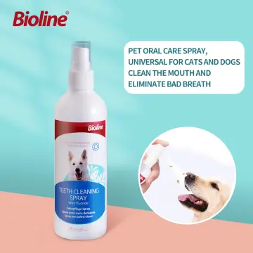 Dog Cat Cleaning Supplies Bad Breath Teeth Care Pet Toothbrush - China Pet  Toothbrush and Dog Supplies price