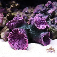 1PC บุคลิกภาพจำลองปะการังปลอม Reef Ornamental Plant Aquarium Scenery DIY Fish Tank Landscap อุปกรณ์ตกแต่ง