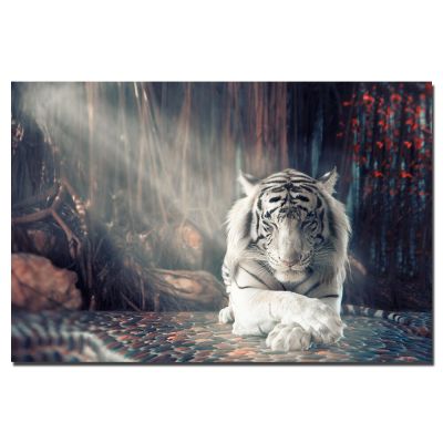 White Tiger โปสเตอร์สัตว์ภาพวาดผ้าใบ Wall Art ภาพพิมพ์-เหมาะสำหรับห้องนั่งเล่นตกแต่งบ้าน0824