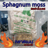 สแฟ็กนั่มมอส​(sphagnum moss) คลาสแมน นำเข้าจากประเทศ ชิลี By.คิมเกษตรเงินล้าน